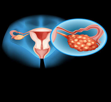 Serivce Image